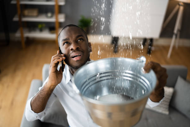 Best Sewage cleanup and water damage restoration  in Fruitville, FL
