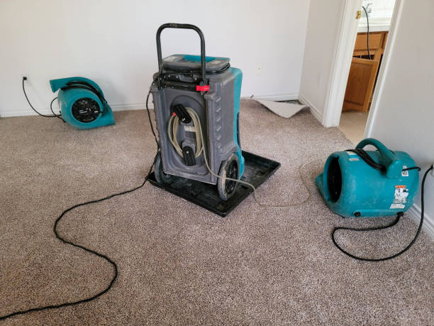 Best Ceiling water damage repair  in Fruitville, FL