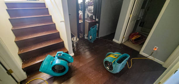 Best Commercial water damage restoration  in Fruitville, FL