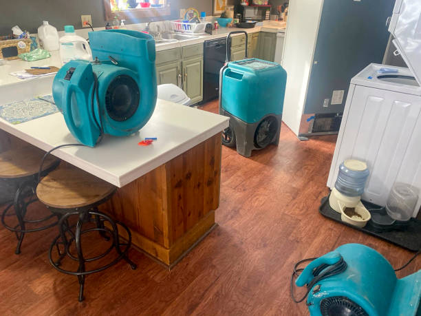 Best Flooded house restoration  in Fruitville, FL