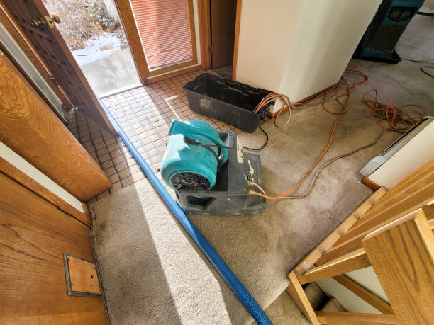 Best Water damage restoration near me  in Fruitville, FL
