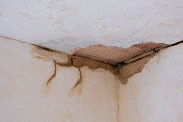Best Fire Damage Restoration  in Fruitville, FL
