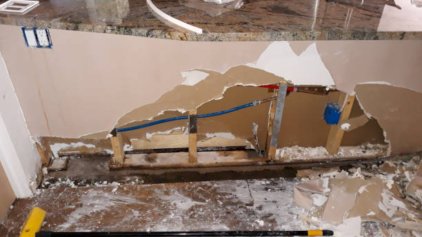 Best Flood damage cleanup  in Fruitville, FL