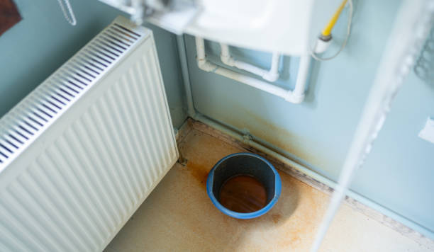  Fruitville, FL Water damage restoration Pros