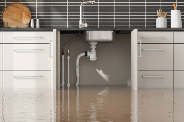 Best Emergency water damage restoration  in Fruitville, FL