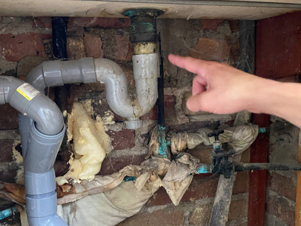 Best Local water damage restoration  in Fruitville, FL