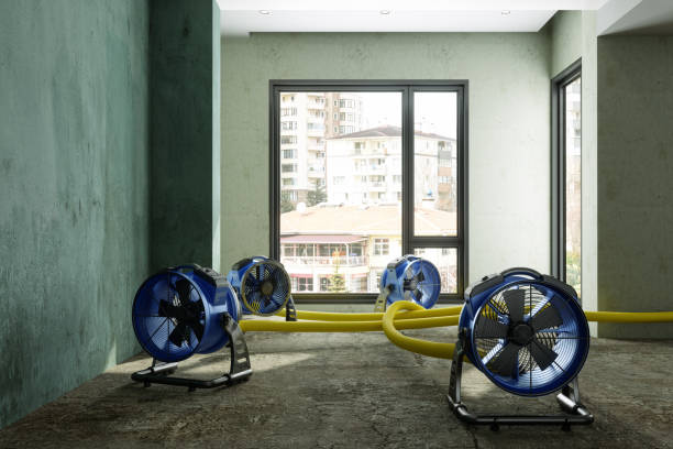 Best Water damage cleanup near me  in Fruitville, FL